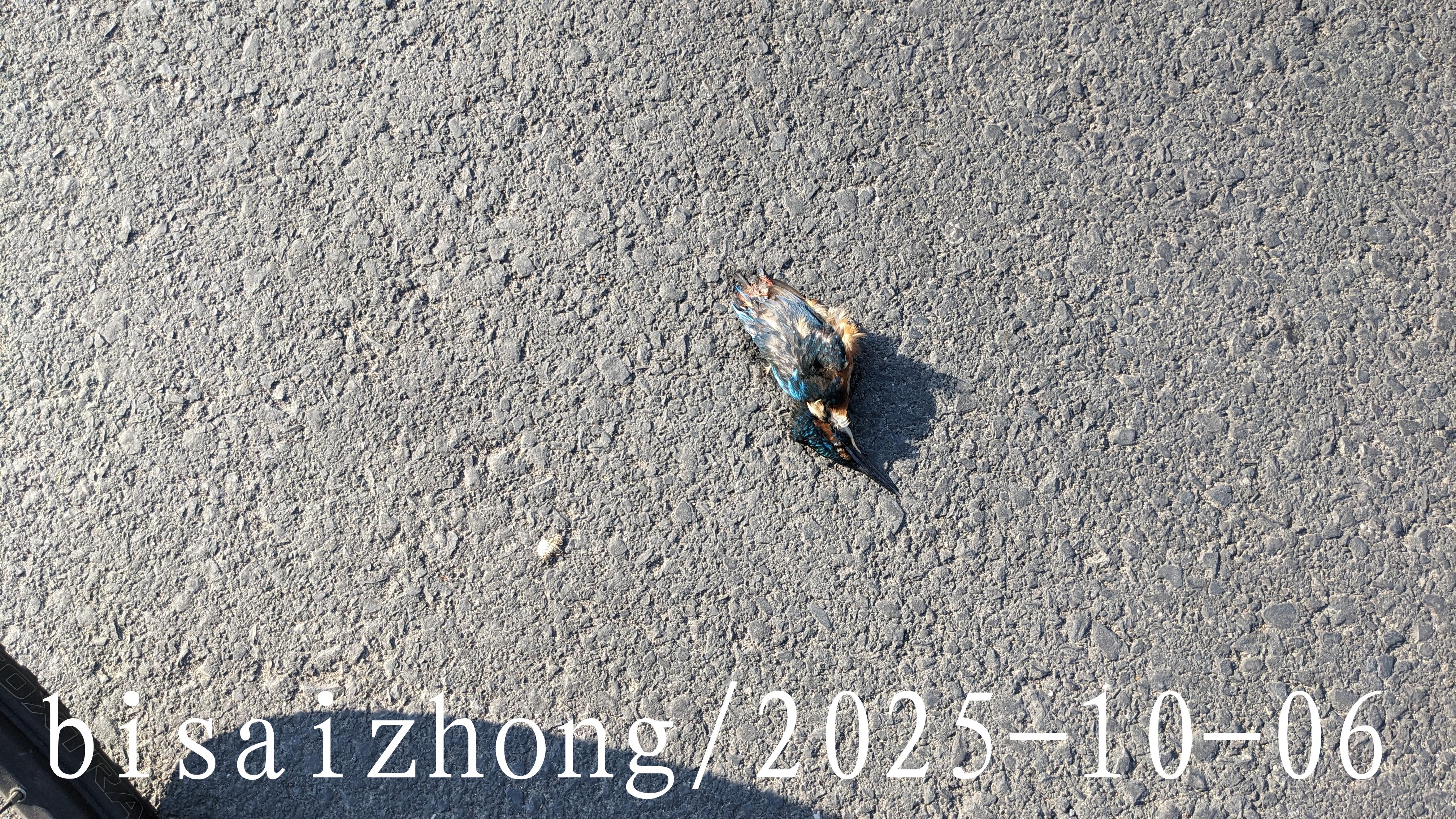 后像