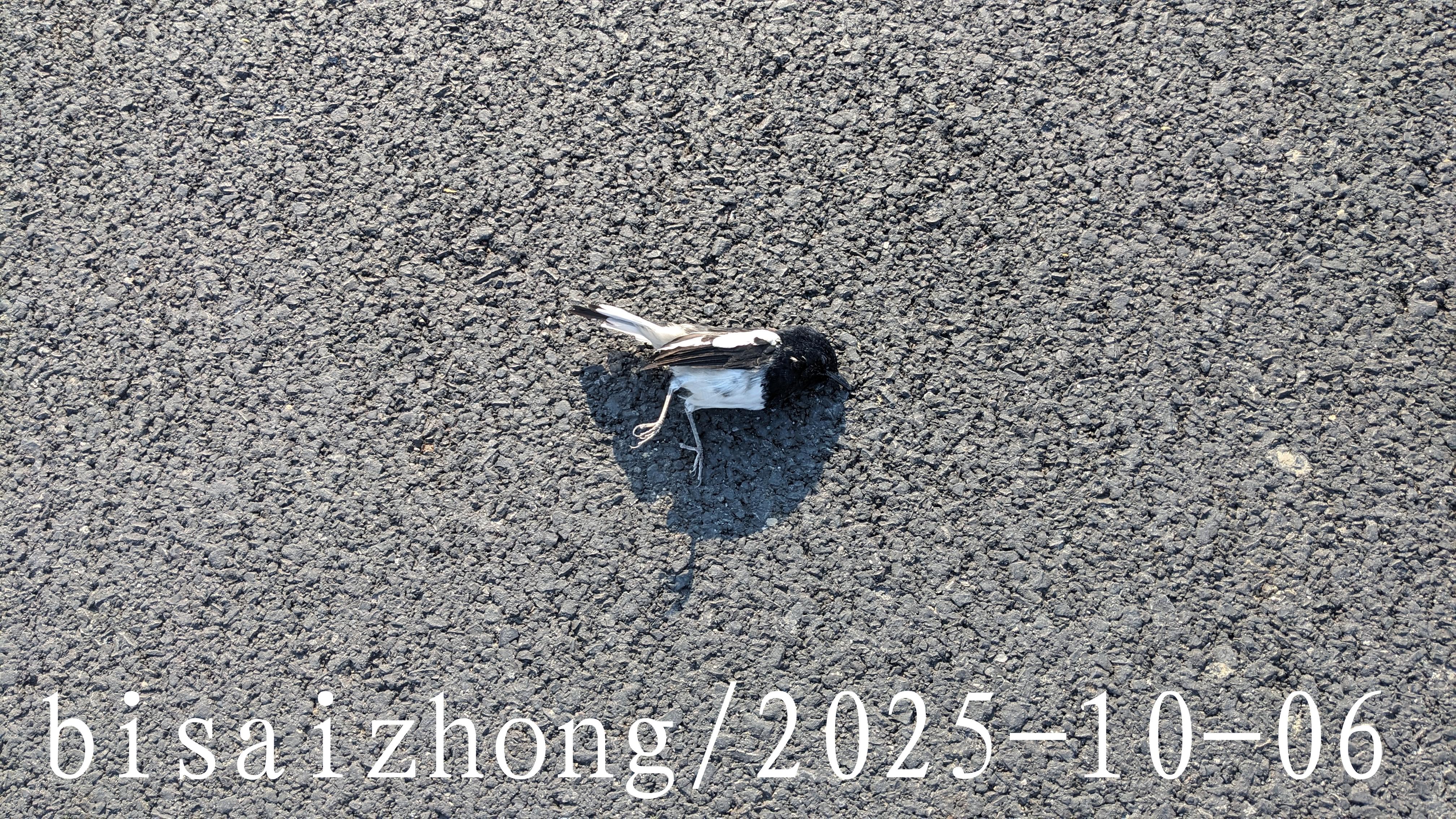 后像