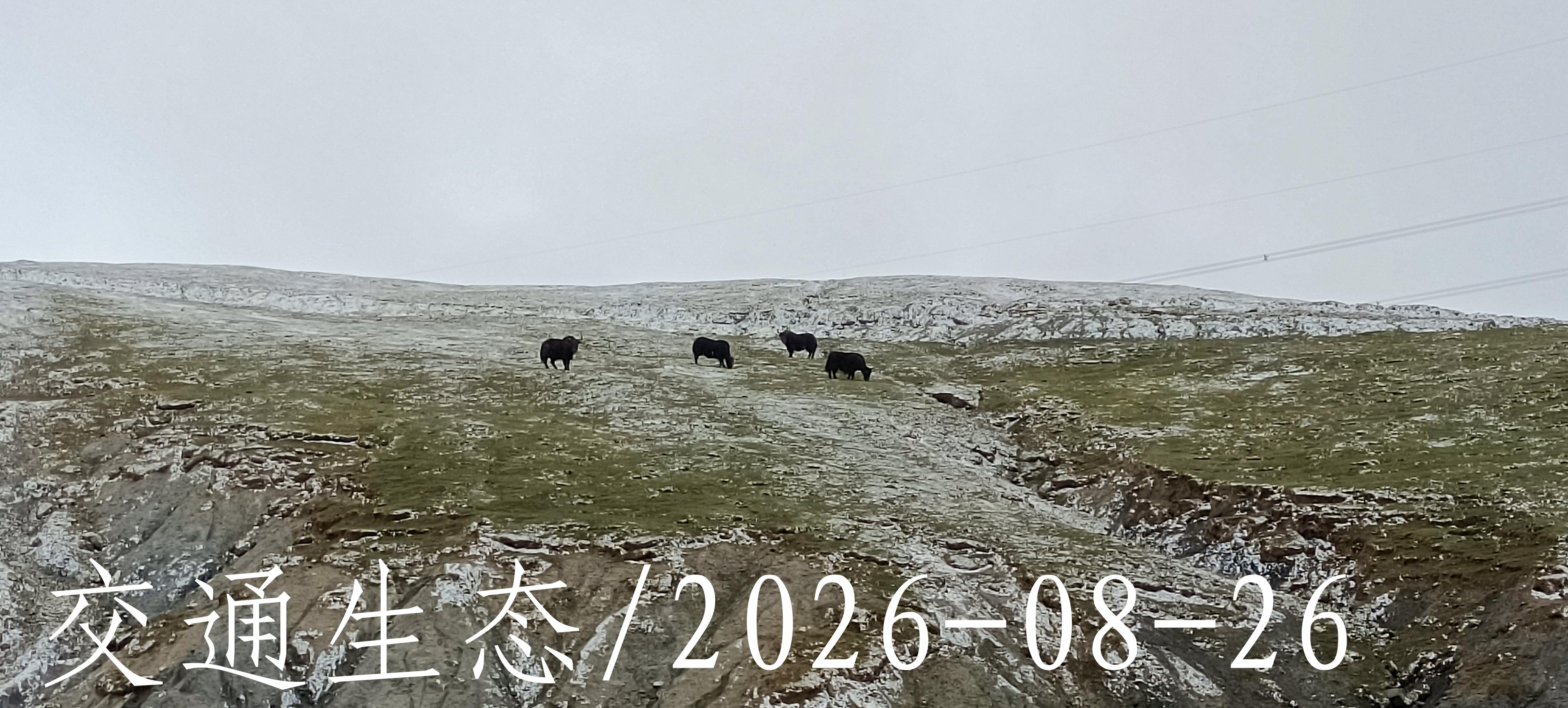 后像