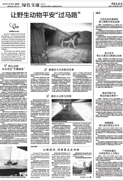 让野生动物平安“过马路”